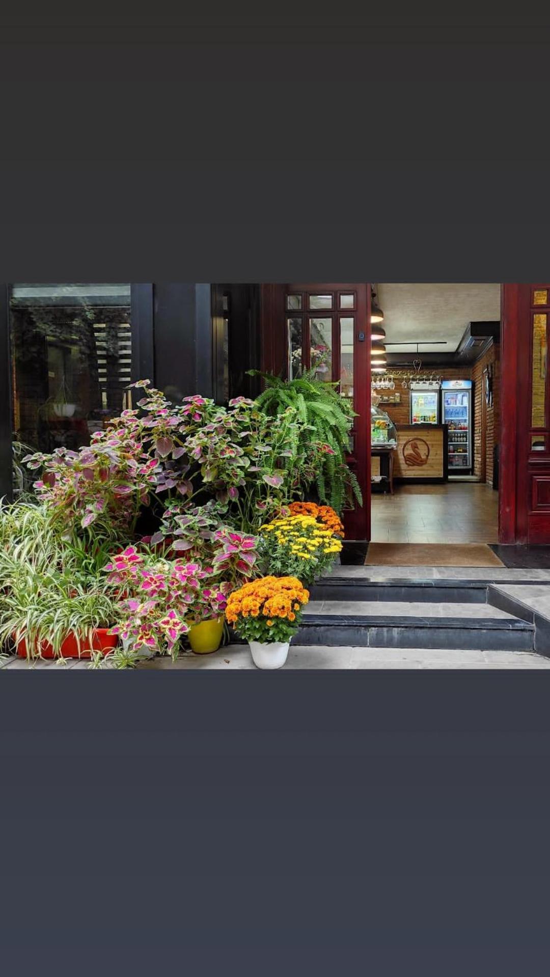 Hotel Livia Tiran Dış mekan fotoğraf